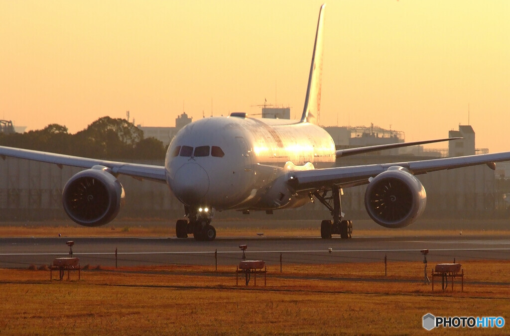 December MorningⅤ✈Dreamliner787