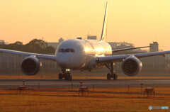 December MorningⅤ✈Dreamliner787