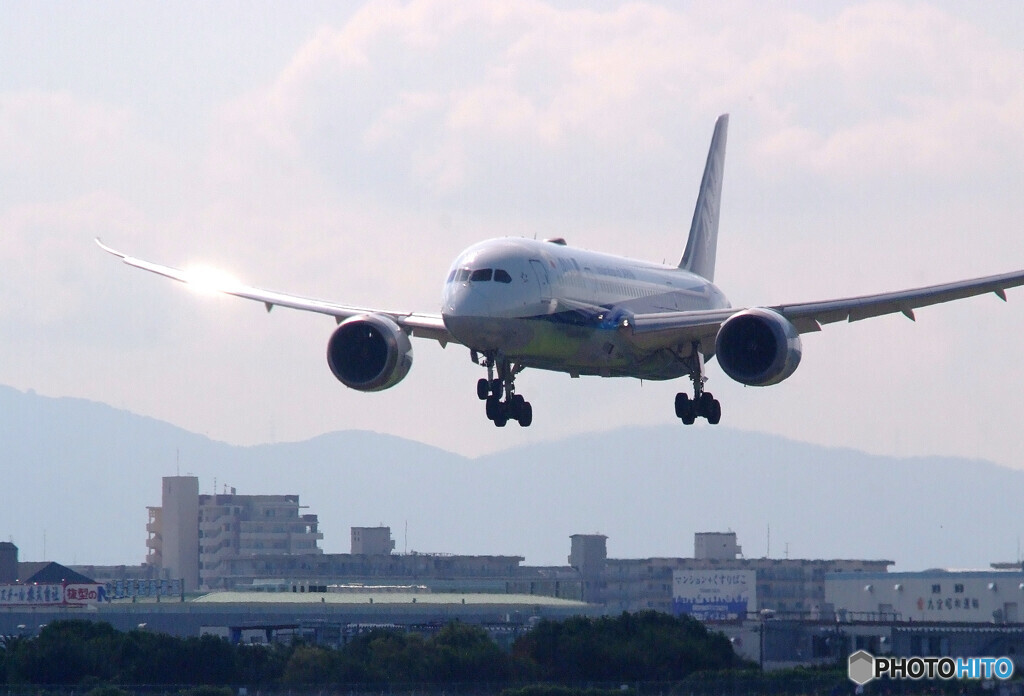 輝く翼✈Dreamliner 
