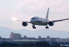 輝く翼✈Dreamliner 