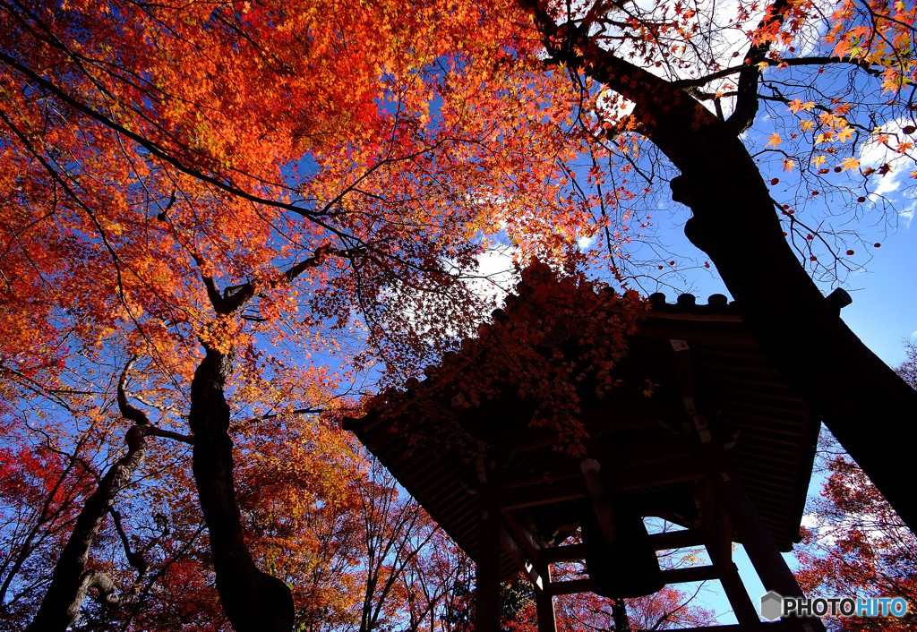 嵯峨野物語・京