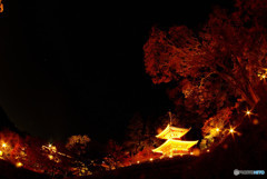 魅せられて・勝尾寺