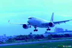 蒼の空から✈AirBus350-900