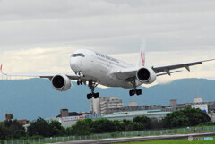 August morningⅢ✈Airbus 350-900