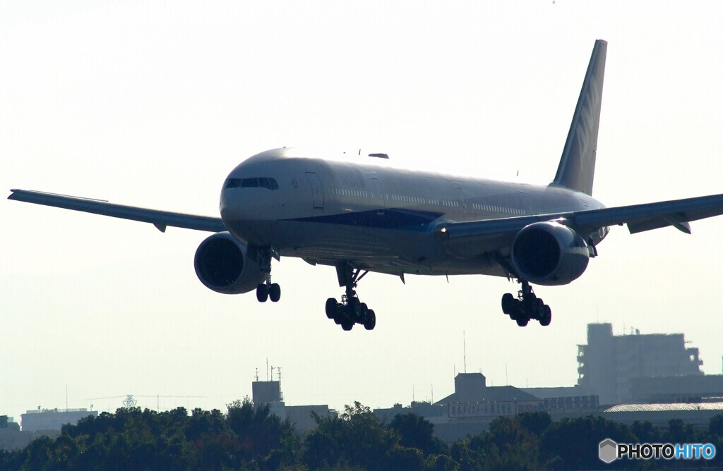 November MorningⅢ✈Boeing 777-300