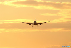 琥珀色の空より・787