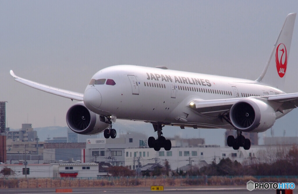 Memory Shot 6000✈787-8