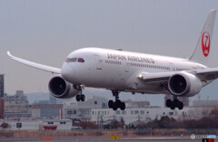 Memory Shot 6000✈787-8