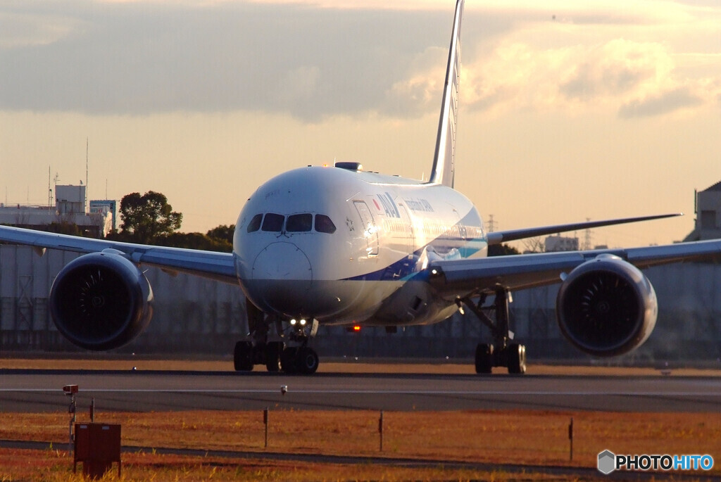 December Sky✈Boeing 787