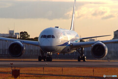 December Sky✈Boeing 787