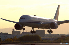 Welcome✈787-9