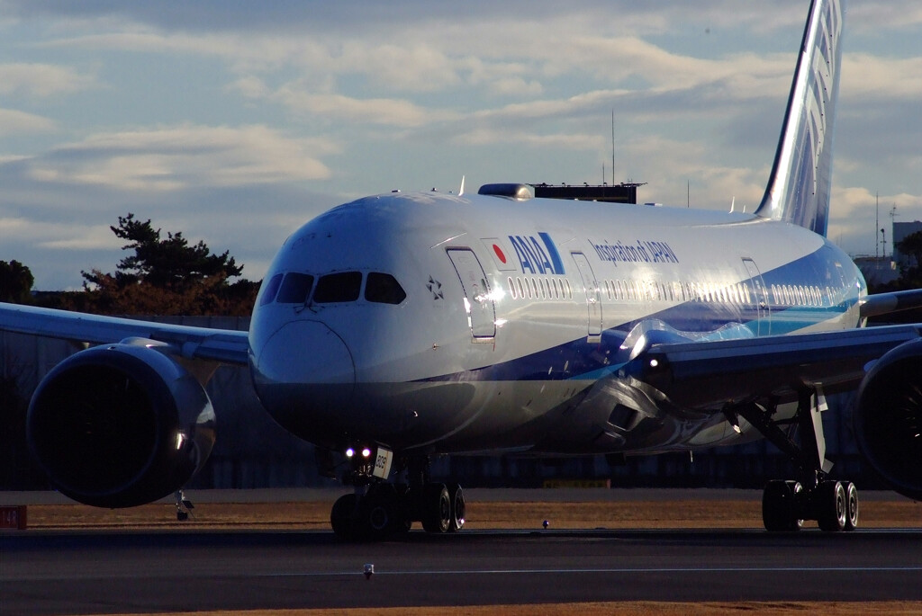 Morning Glow✈Boeing787-8