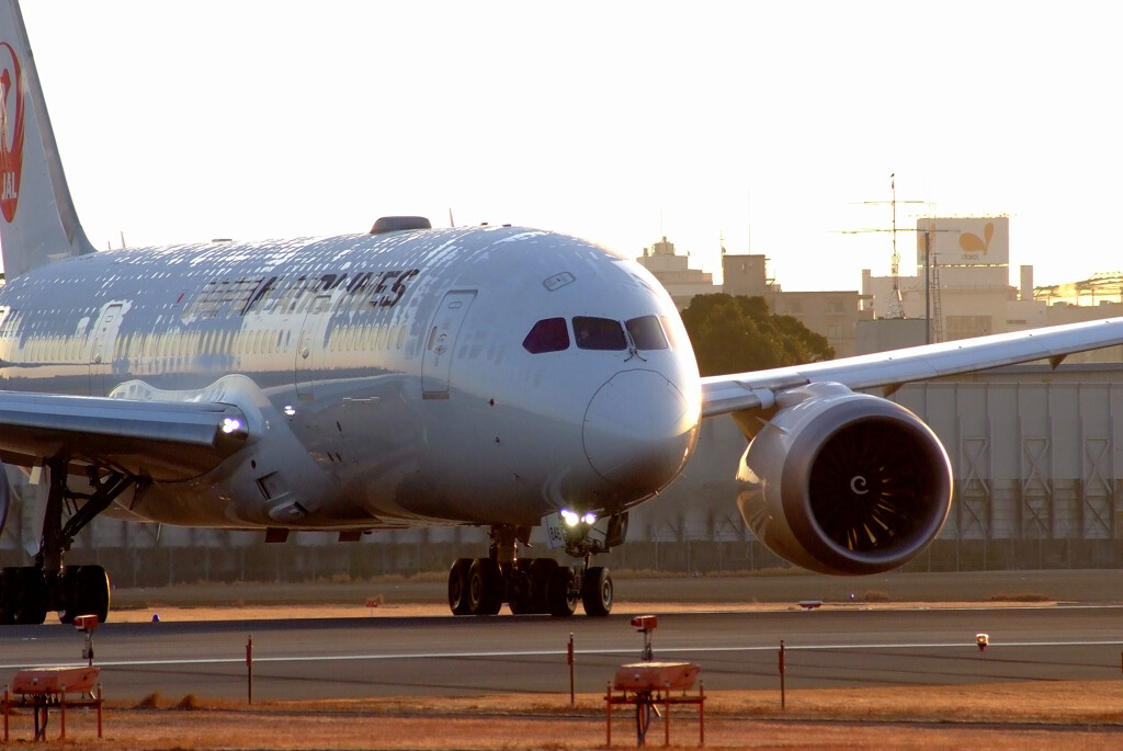 Beautiful MemoriesⅢ✈Dreamliner