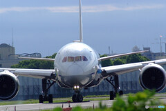 静寂の時✈Boeing 787-8