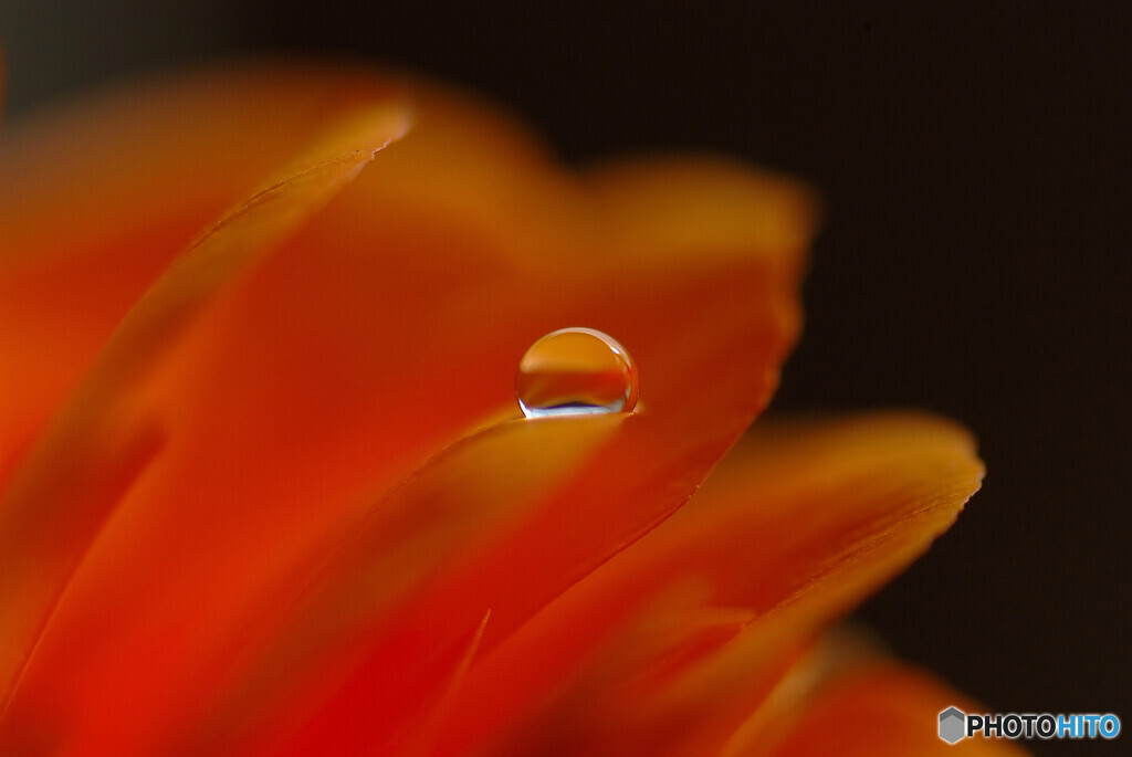 睦月の灯✿雫