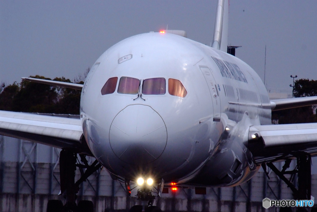 White KnightⅡ・Dreamliner 