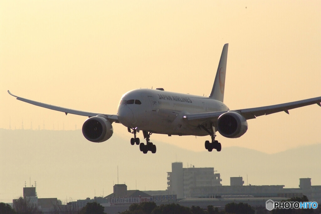March MorningⅨ★JALBoeing787