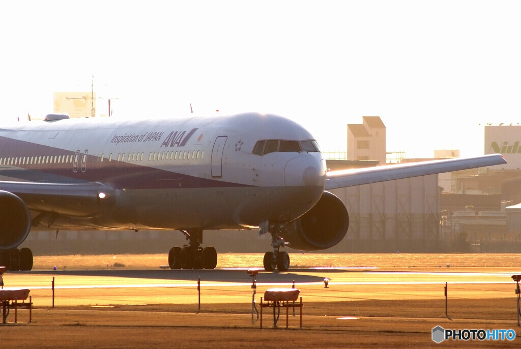 旅立ちの朝✈Boeing 767