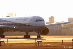 旅立ちの朝✈Boeing 767