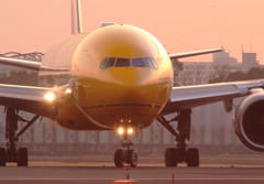 黄金の輝き・JA743A