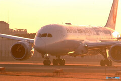 俺の旅路✈Dreamliner