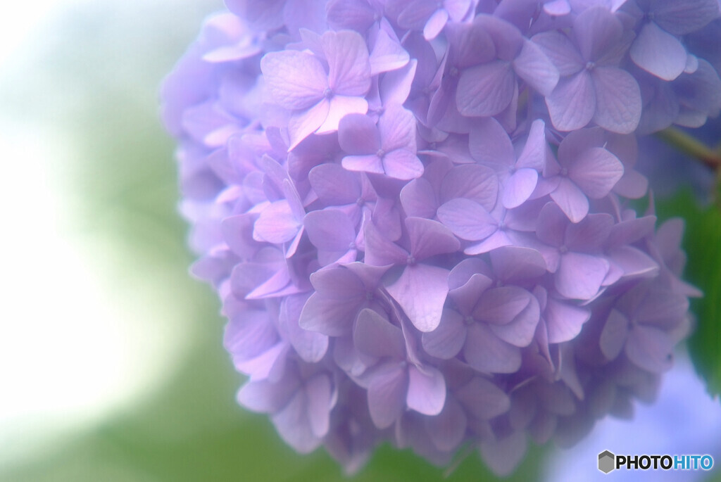 水月の朝✿想い