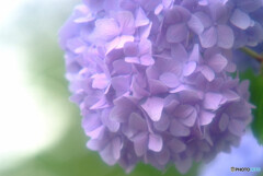 水月の朝✿想い