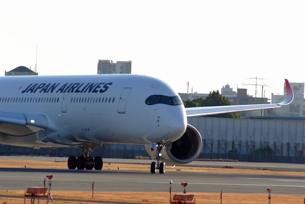 SKYLANDの朝✿JA11XJ