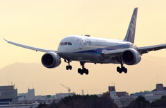 NextStageⅤ✈HARADAの朝