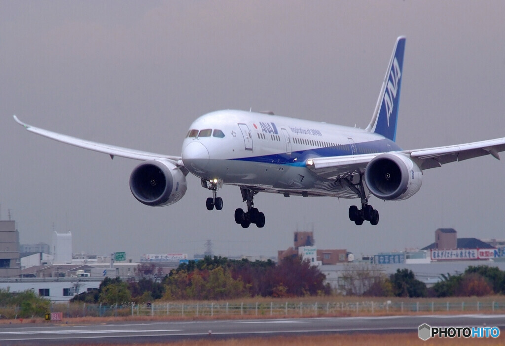 12月の旅路Ⅳ✈Boeing 787-8 Dreamliner