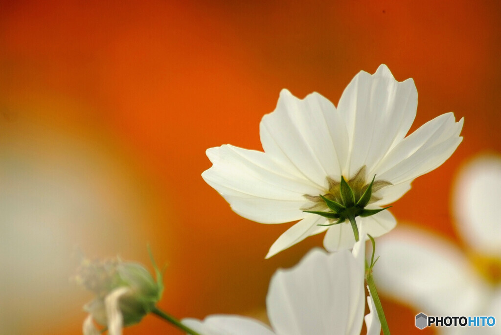 永遠の恋人❁✿2023秋