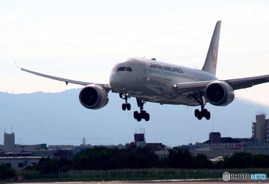 9月の空✈Dreamliner