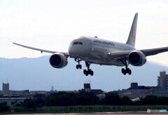 9月の空✈Dreamliner