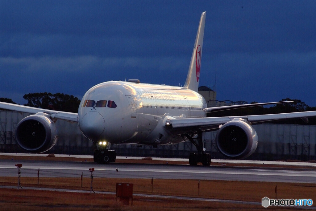 蒼の世界へ✈JAL Boeing 787-8