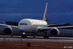 蒼の世界へ✈JAL Boeing 787-8