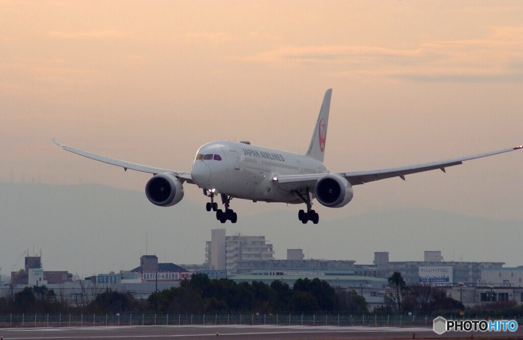 3月の旅人✈Boeing787-8