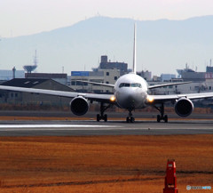 男達の挽歌・Ⅷ