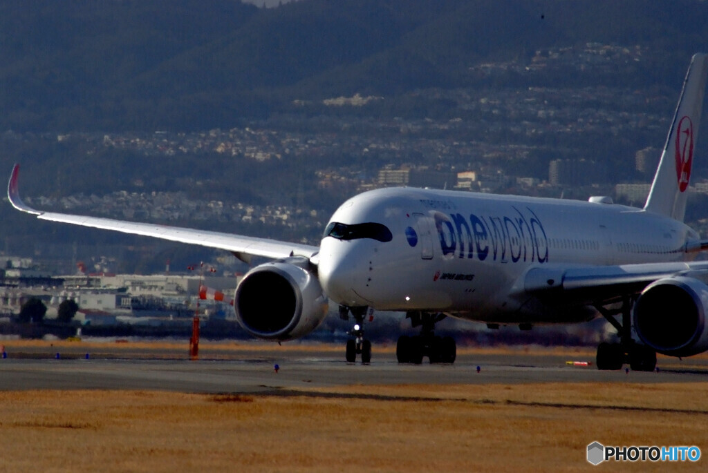 嘉月の午後✈JA15XJ