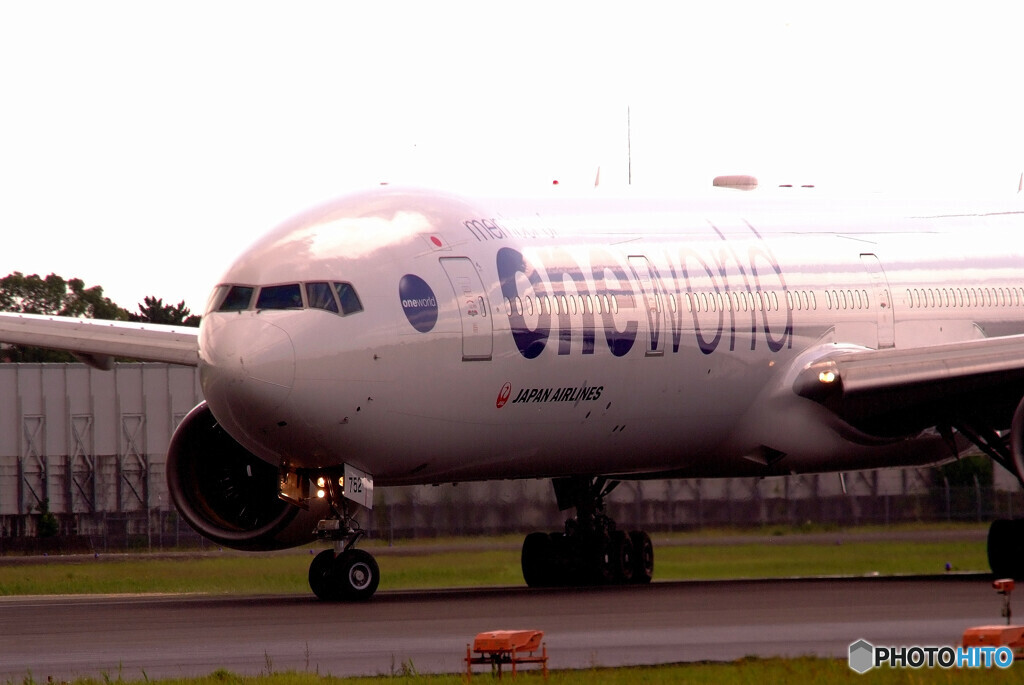 癒しの時間Ⅴ✈2020夏