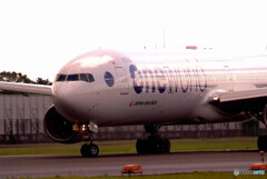 癒しの時間Ⅴ✈2020夏