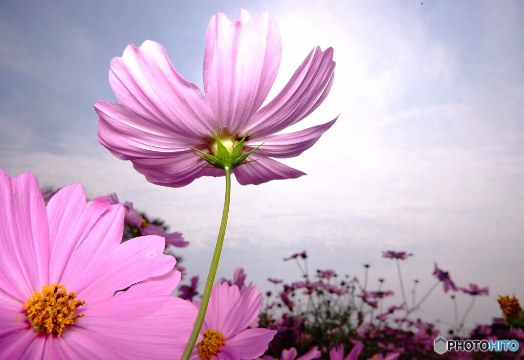 華やかに美しく・秋