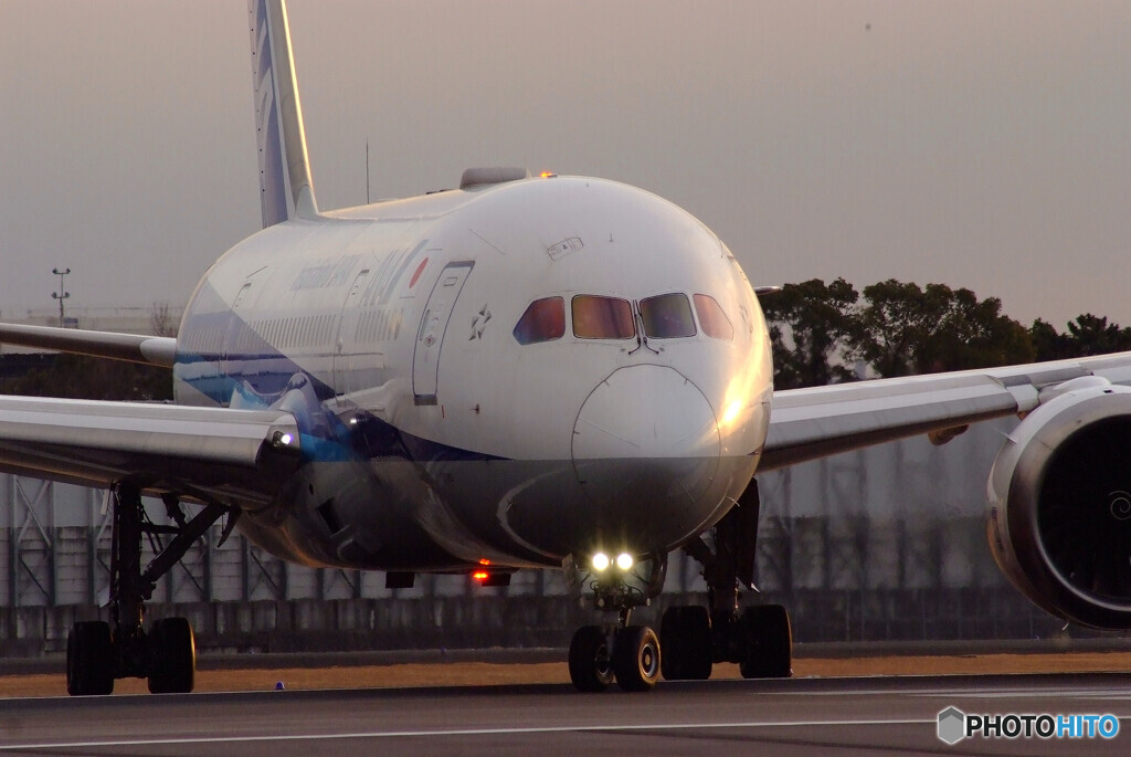 煌めき✈787Dreamliner