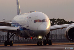 煌めき✈787Dreamliner