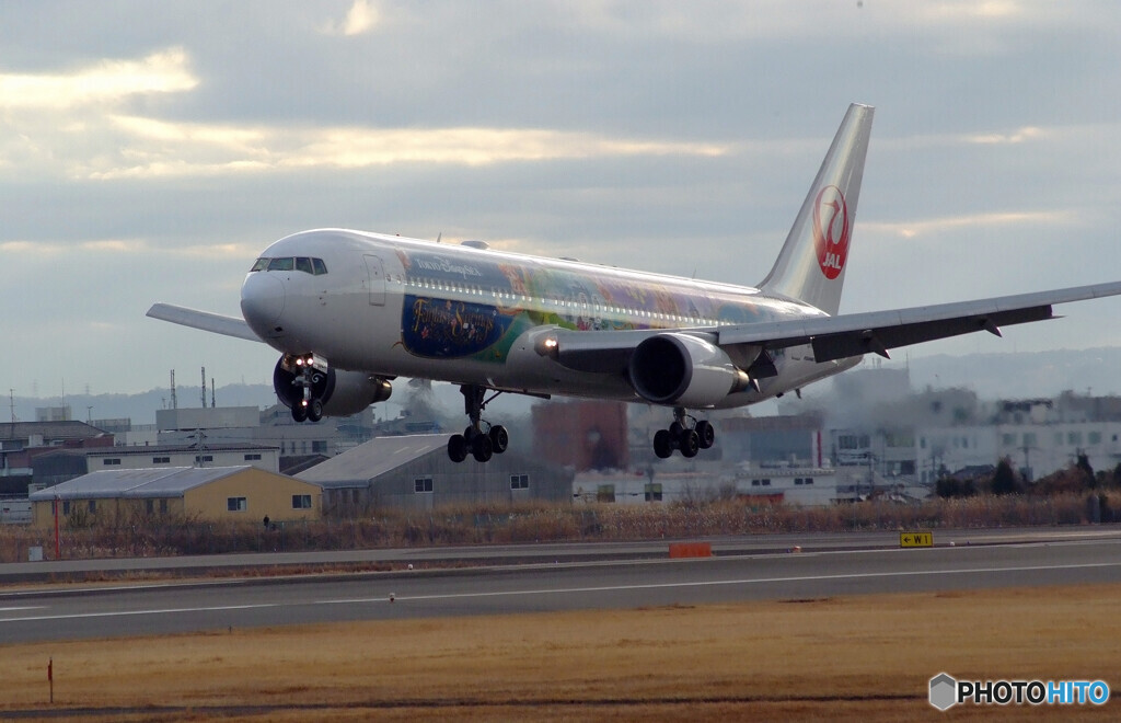 夢の続き✈DisneySea Livery
