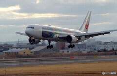 夢の続き✈DisneySea Livery