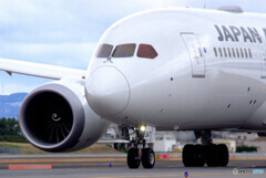 それぞれの旅路Ⅱ・Dreamliner