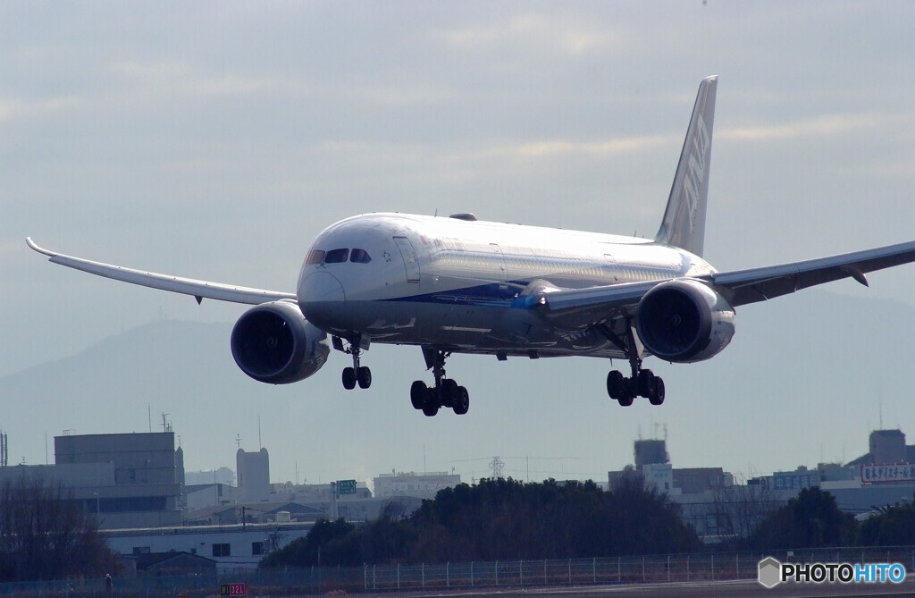 癒しの時✈Boeing 787-9 Dreamliner