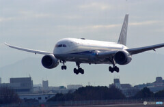 癒しの時✈Boeing 787-9 Dreamliner