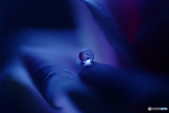 愛しき惑星Ⅳ・雫