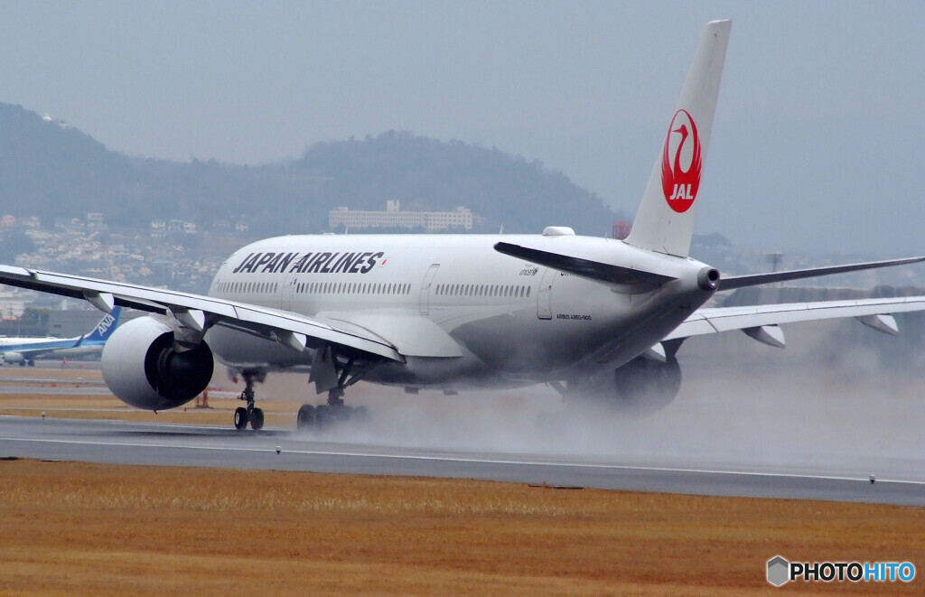 Rain is FunⅡ✈Boeing 787-8